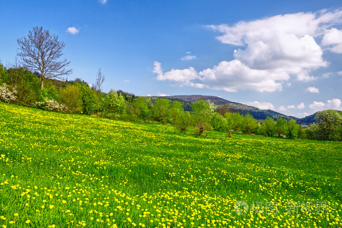 春天风景照片-正版商用图片0vv2k1-摄图新视界