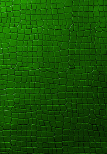 绿色纹理，网格背景