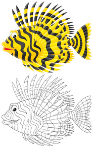蝎鱼图片-蝎鱼素材-蝎鱼插画-摄图新视界