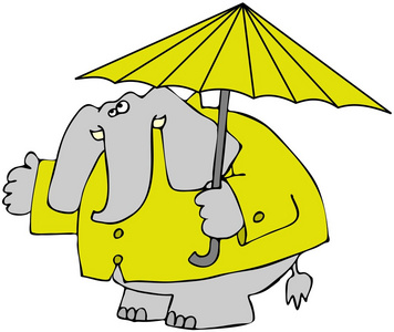 在一件雨衣大象