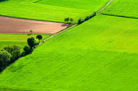 大绿色草原照片