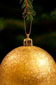 金色圣诞球挂在树上