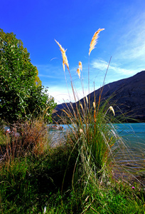 坐落在新西兰山脉的湖