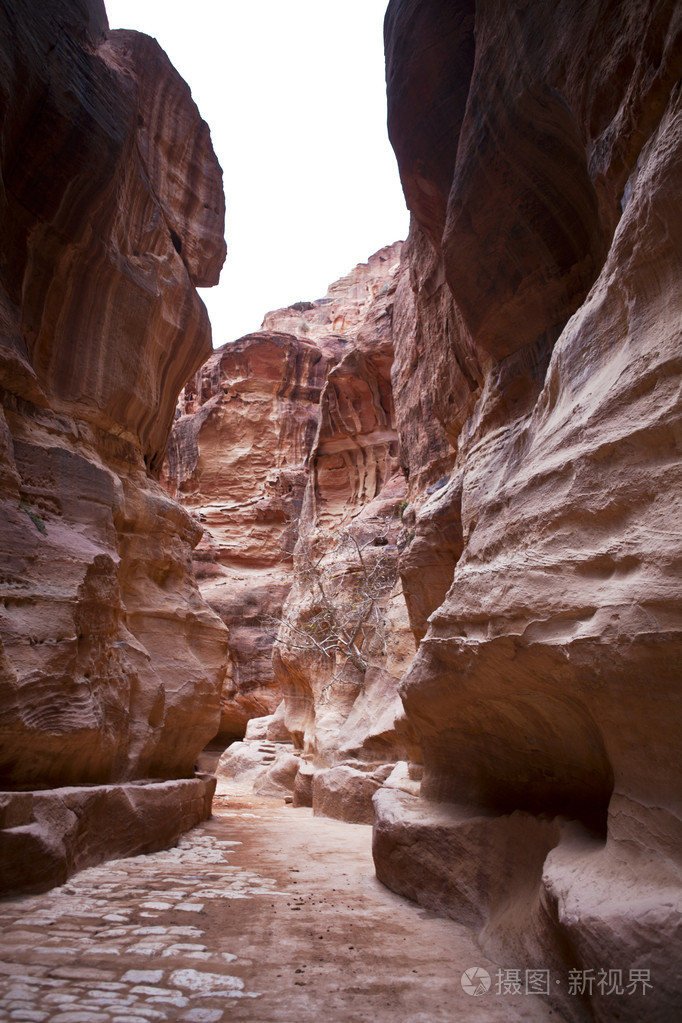 佩特拉siq入口的路径通过岩石约旦