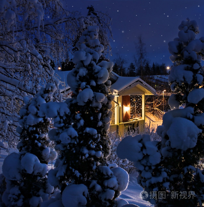 圣诞雪夜照明的房子