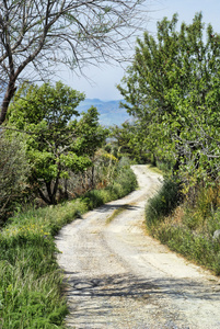 西西里人乡村道路