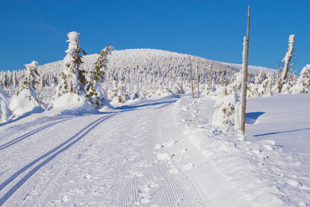 冬山景观风光与横越全国滑雪方式