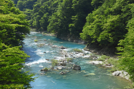 在秋田市的山沟 dakikaeri