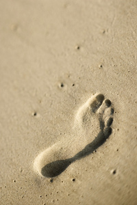 沙中的足迹