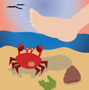 一只活螃蟹图片