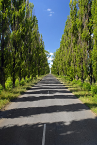 道路