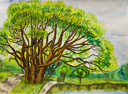 大的柳树绘画