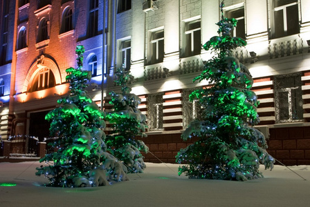 在晚上被风雪围困松树