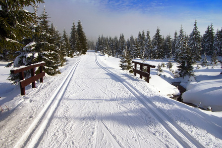 修改越野滑雪方式