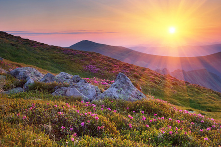 在山与太阳夏天风景