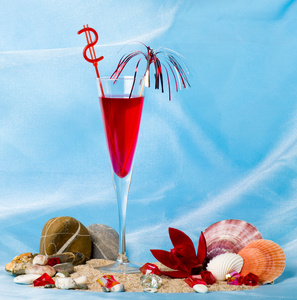 异国风情的鸡尾酒用热带壳和红色花