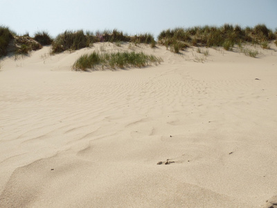 北海海滩上岛 ameland 在荷兰