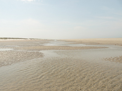 北海海滩上岛 ameland 在荷兰