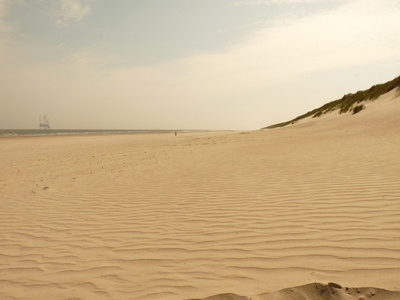 岛 ameland 在荷兰的北海海滩的在夕阳下