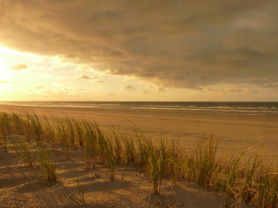 日落在岛 ameland 在荷兰的北海沙丘