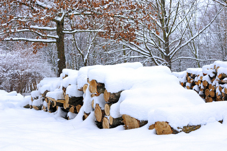 与 firewoods 盖雪的冬季风景