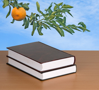 书籍和橘