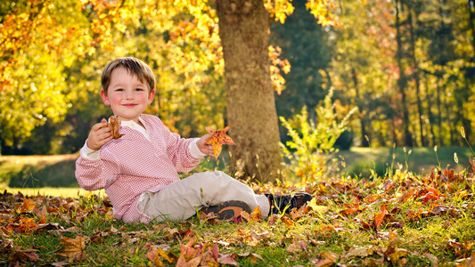 秋天或秋季的肖像年轻，学龄前儿童男孩在公园