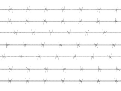 在监狱中带刺铁丝网