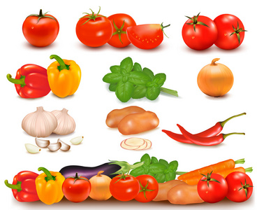 蔬菜和蔬菜设计边框的大多彩集合。矢量