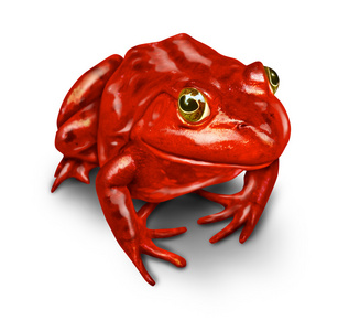 红色青蛙图片
