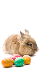 节日复活节兔子坐在旁边的多彩的鸡蛋