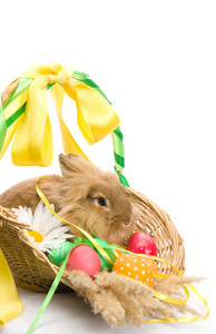 节日复活节兔子正坐在一篮子与色的蛋