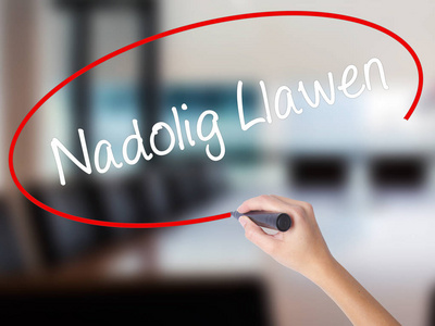 女人的手写作 Nadolig Llawen 圣诞快乐在威尔士 机智