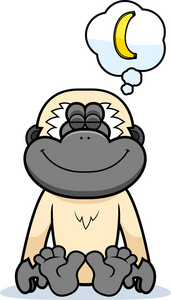 猿猴图标套装, 卡通风格卡通动物-猿黑猩猩猿动物卡通插图卡通野猿