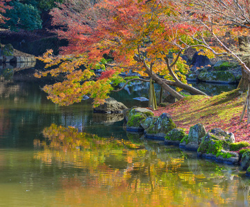 日本关西的秋景