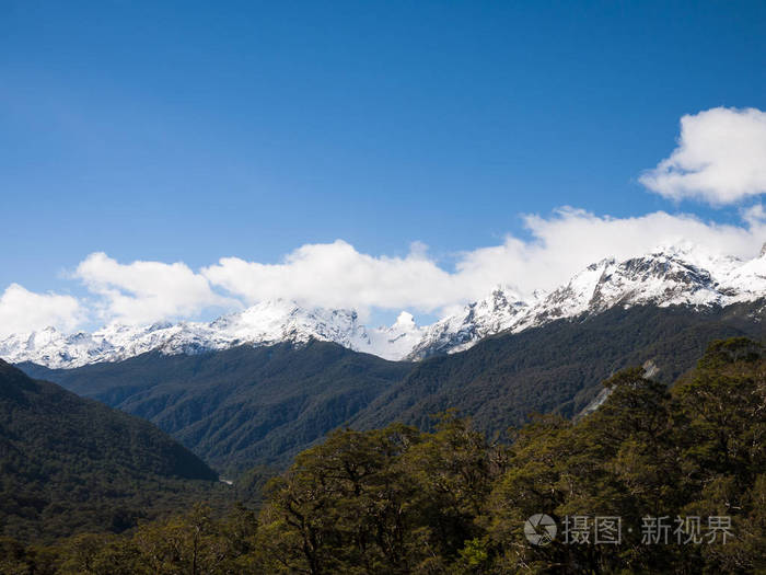 荒野的山和树