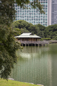 东京中岛茶馆