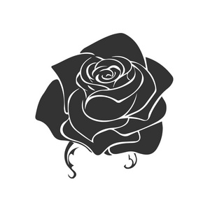 玫瑰的素描。花的设计元素。矢量图。优雅的花香概要设计。孤立在白色背景上的灰色符号。抽象上升。良好的设计 徽标或装饰