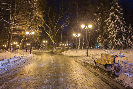 冬天的夜晚景观长凳下树木和闪闪发光的街道灯飘落的雪花