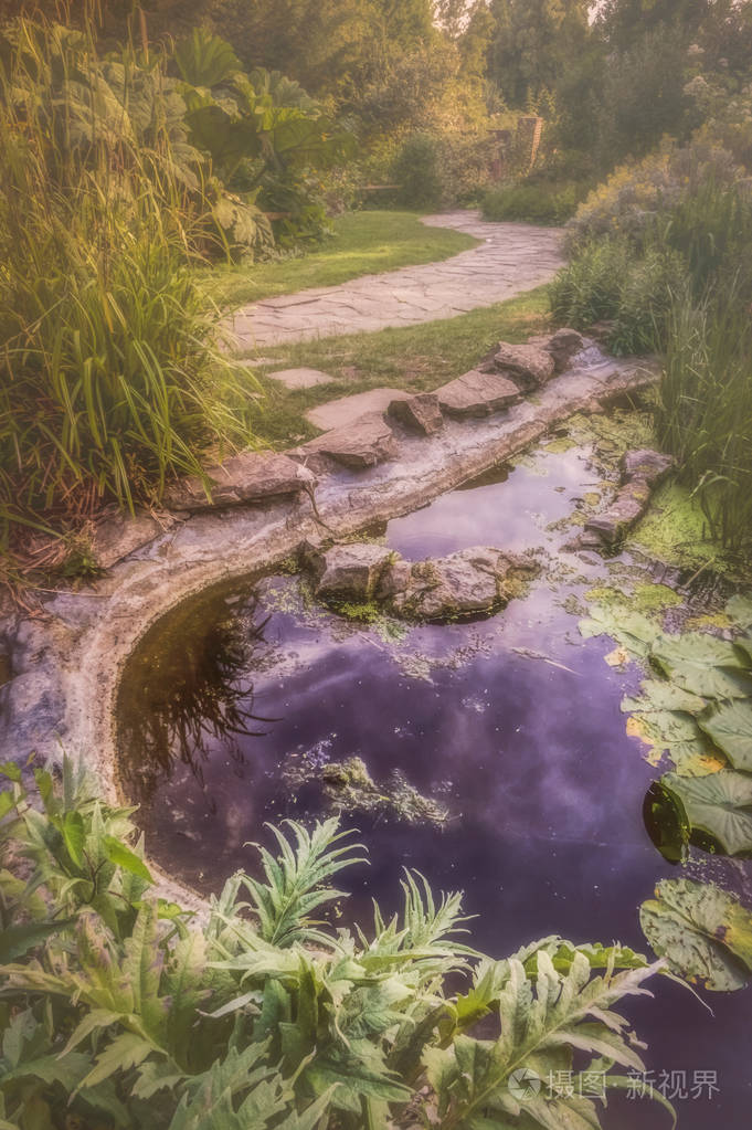 在公园里的水池塘