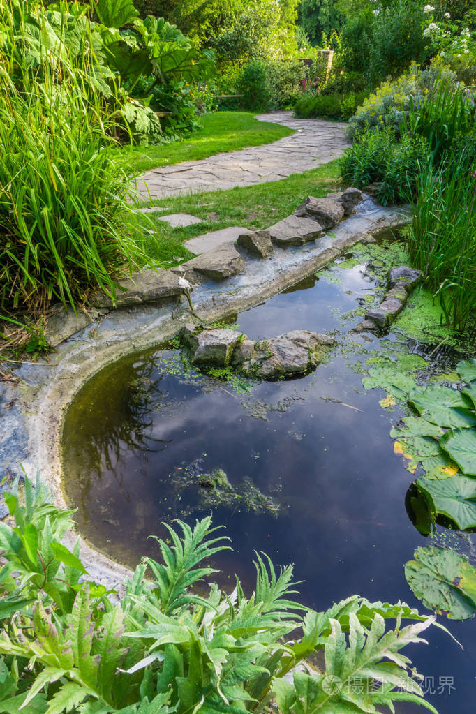 在公园里的水池塘