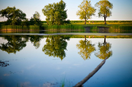 绿树, 蓝蓝的天空和云在平静的湖水中的倒影照片