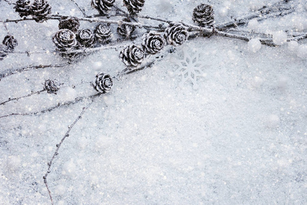 落叶松枝具球果在雪地上。圣诞节背景与空间为您的文字