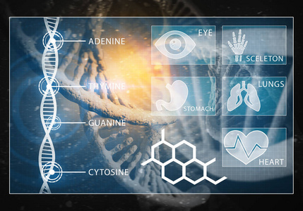 Dna 分子背景