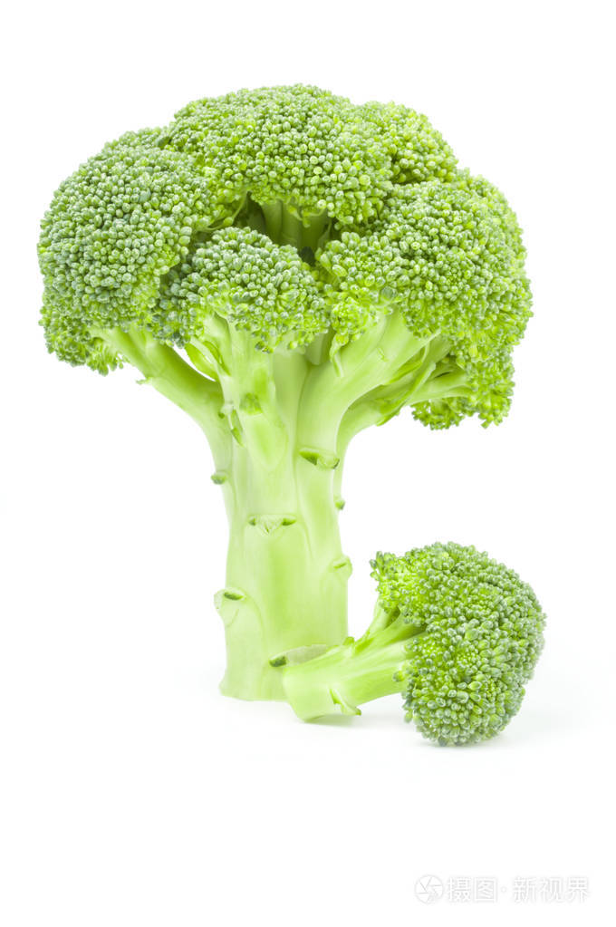 新鲜的绿色花椰菜上白色背景抠出孤立