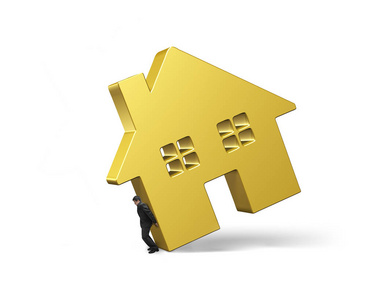 人控股金房子照片