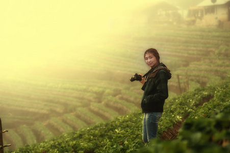 亚洲旅游女人在 doi 安康山草莓农场