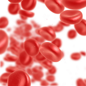 血红细胞流动
