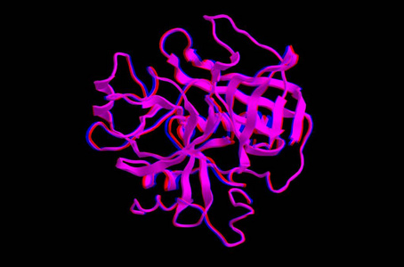 分子结构的凝血酶，3d 渲染