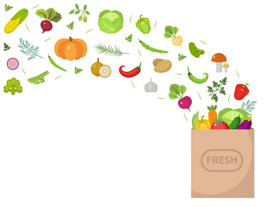 购物纸袋与新鲜的蔬菜。平面设计。文本，孤立的白色背景上的的横幅空间。健康的生活方式，素食，素食，未加工的食物。矢量图